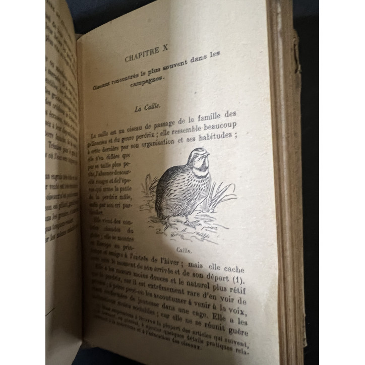 Livre Guide vétérinaire du cultivateur 