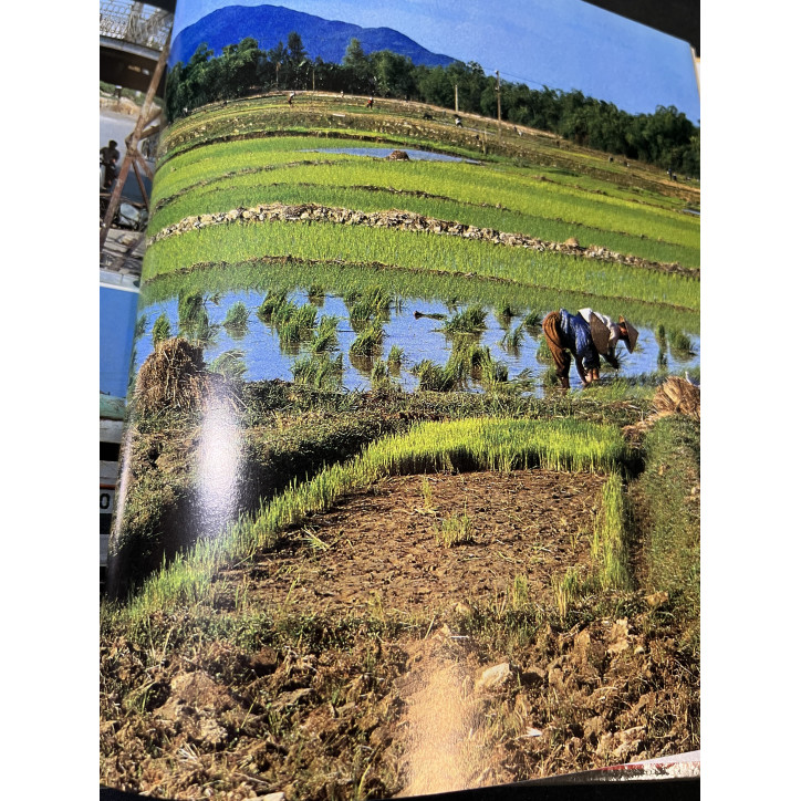 Livre Le Viêt-Nam : Guide pour les voyageurs curieux de Gilbert Roussel