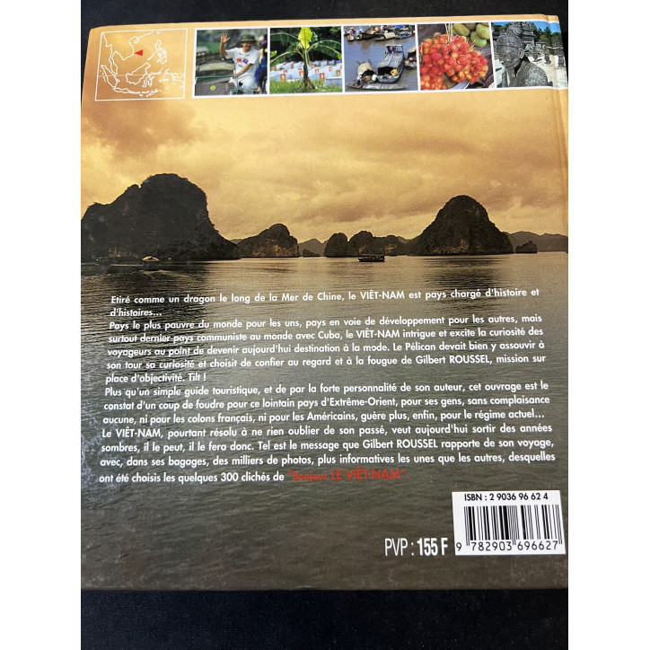Livre Le Viêt-Nam : Guide pour les voyageurs curieux de Gilbert Roussel