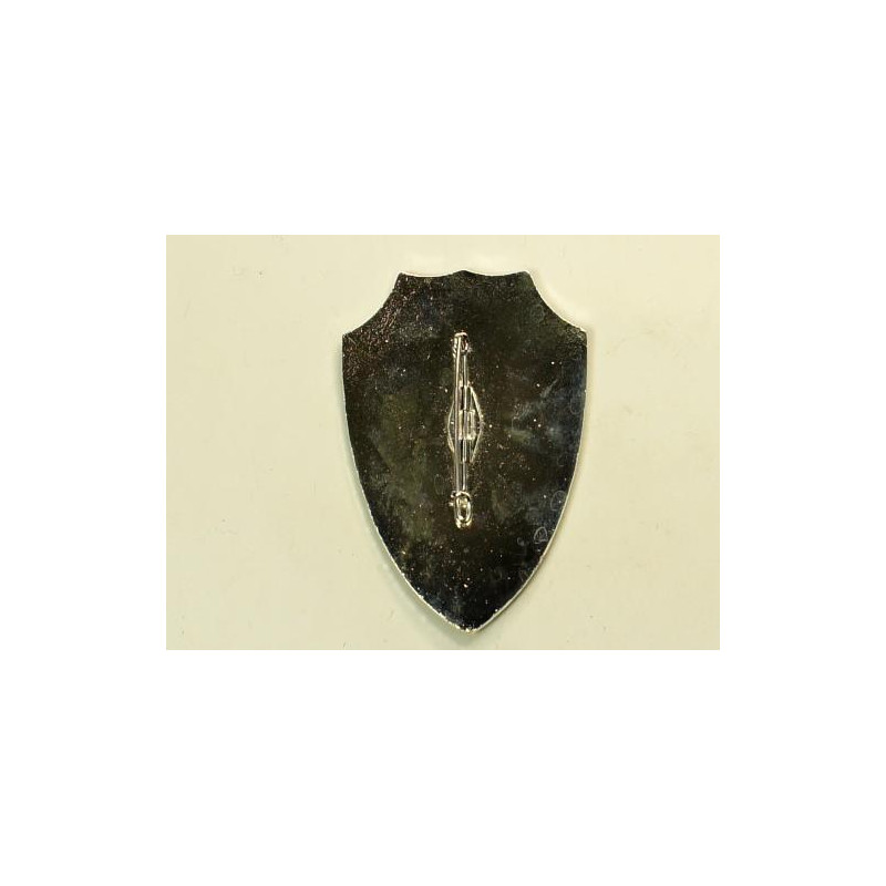 Insigne du groupe spécial de sécurité Pétain