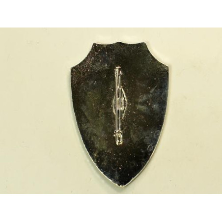 Insigne du groupe spécial de sécurité Pétain