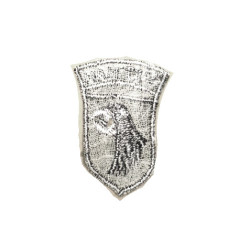 Patch 101 st Airborne TAB Vietnam original réf 17 bo 146 