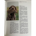 Le Livre de la Chasse par Emile Lejeune
