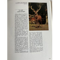 Le Livre de la Chasse par Emile Lejeune