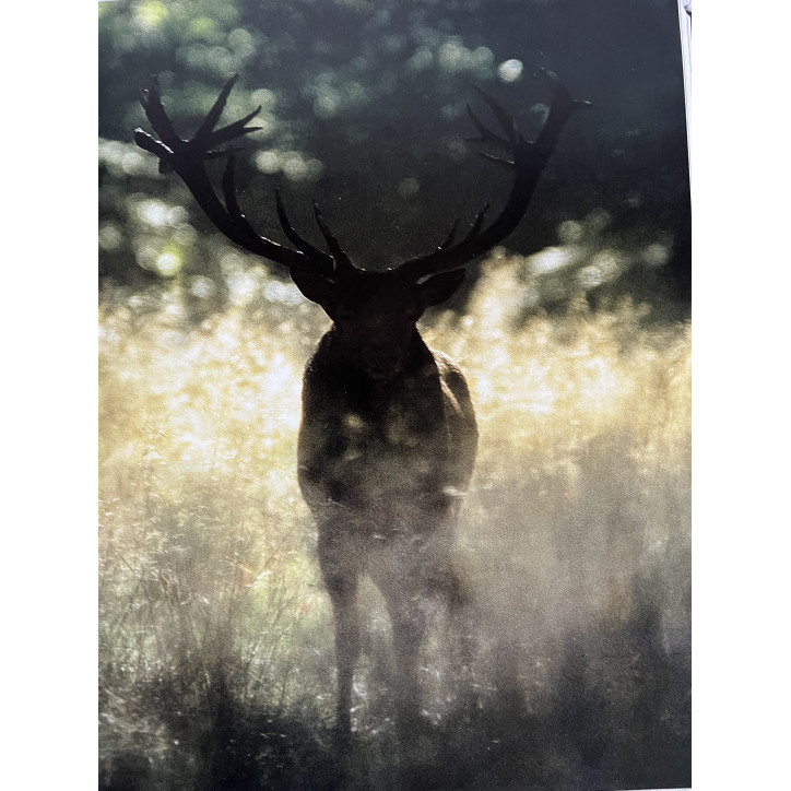 Album La Chasse de Kurt G. Blüchel