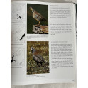 Album La Chasse de Kurt G. Blüchel