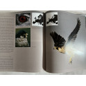 Album La Chasse de Kurt G. Blüchel