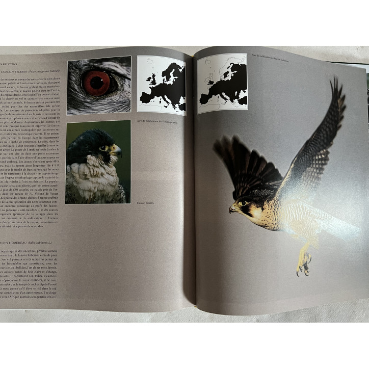 Album La Chasse de Kurt G. Blüchel