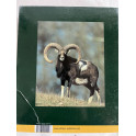 Album La Chasse de Kurt G. Blüchel