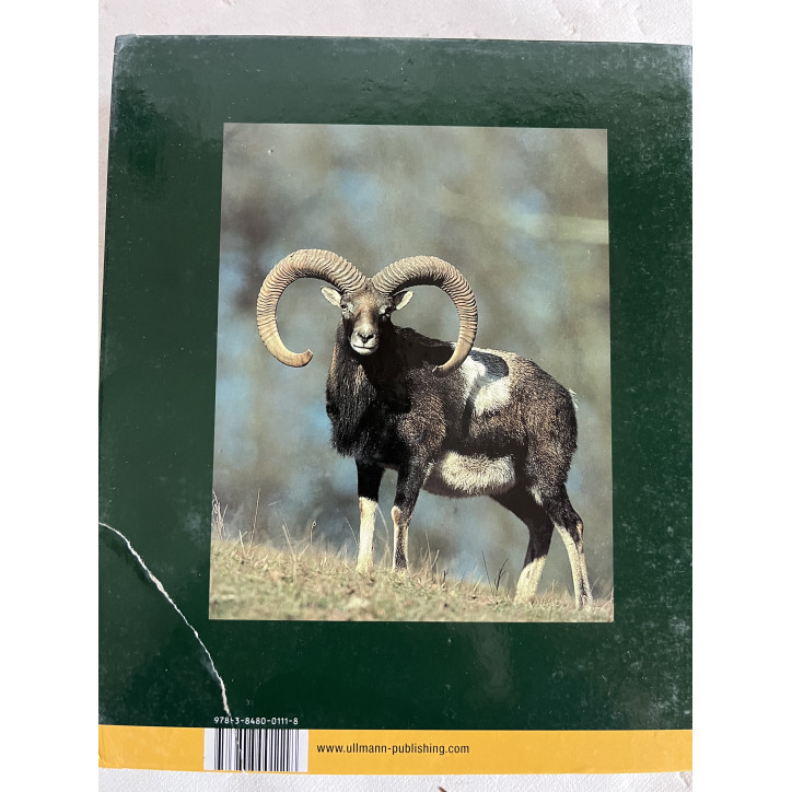 Album La Chasse de Kurt G. Blüchel
