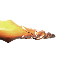 Canne de poilu Argonne 1914