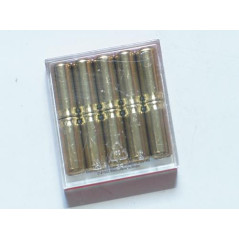 Boite de 10 cartouches 9 mm PA a gaz réf MD224