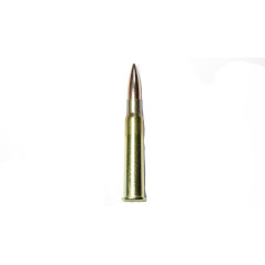 Cartouches 303 British x 100 Partizan 