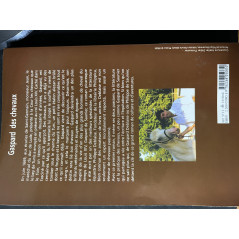 Roman Gaspard des Chevaux de Philippe Deblaise