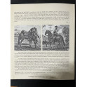 Dépliant Librairie Philippica issu du catalogue 44