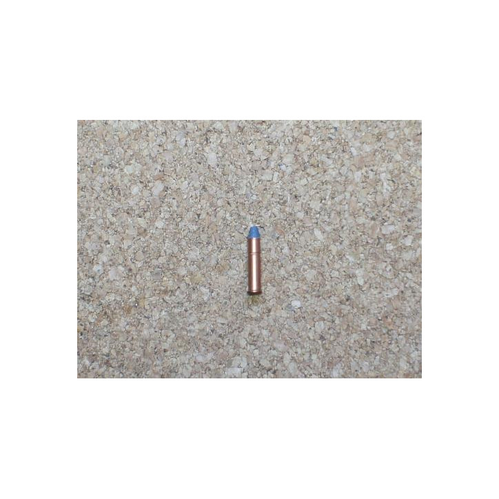 22 Winchester Rim Fire 