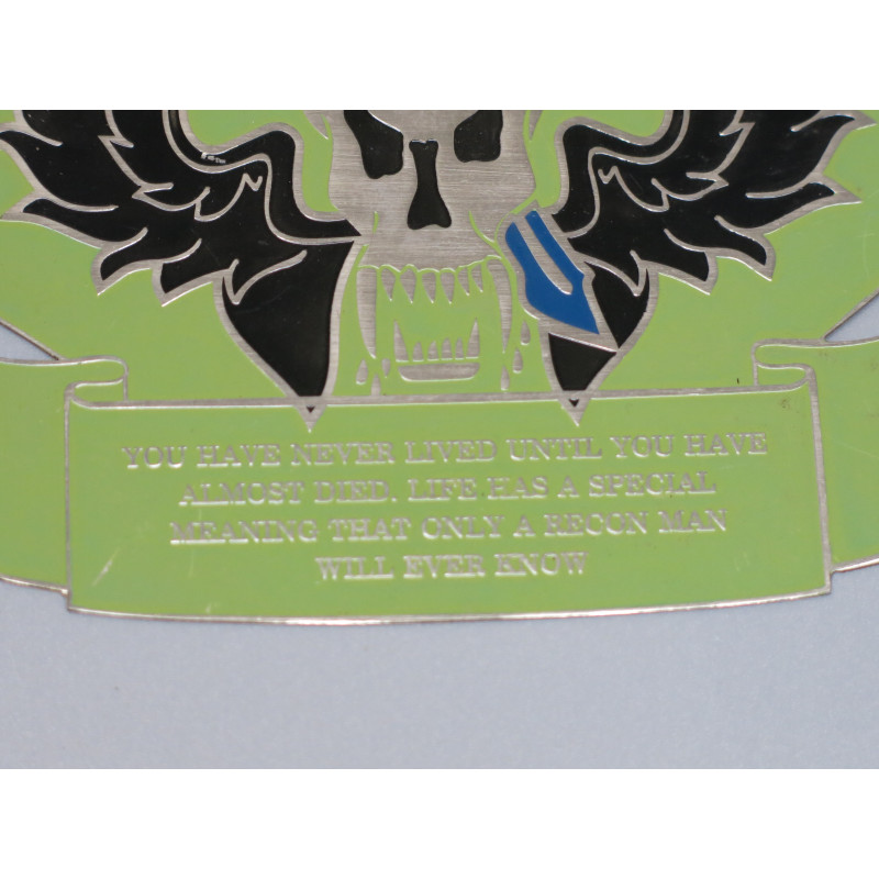 Plaque Airborne ranger