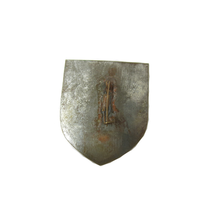 Insigne métal TIGER LLDB BAT TU Vietnam ref 60