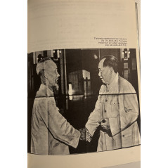 Livre Les armes de Guerilla de Jean-Louis Brau