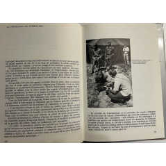 Livre Les armes de Guerilla de Jean-Louis Brau
