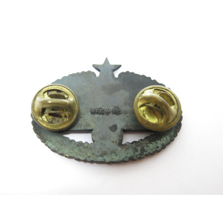 Insigne infirmier US ref 100