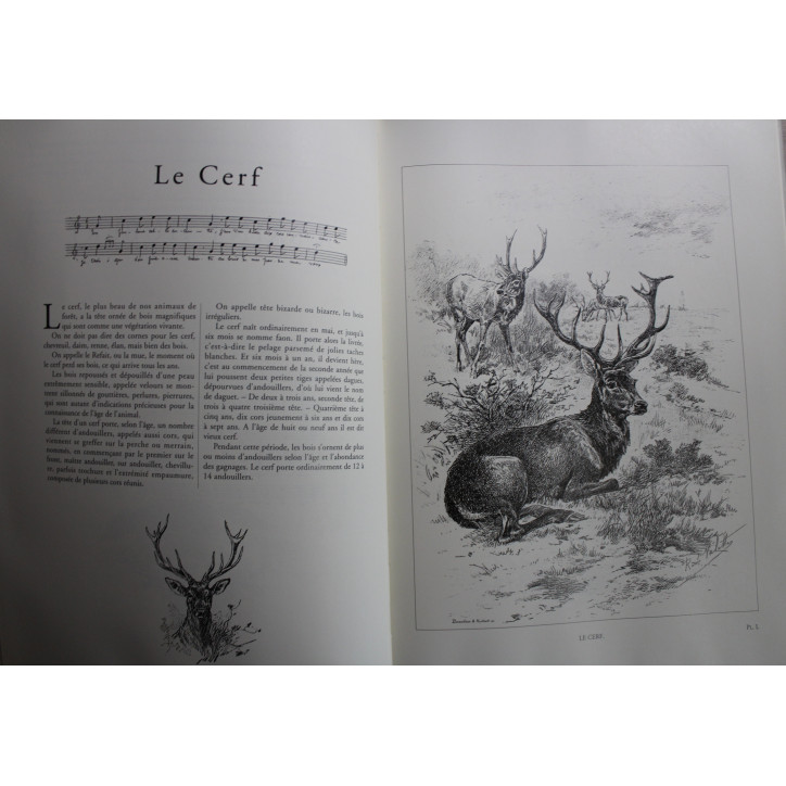 Livre La Chasse à Courre et à Tir de René Valette