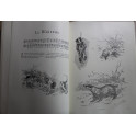 Livre La Chasse à Courre et à Tir de René Valette