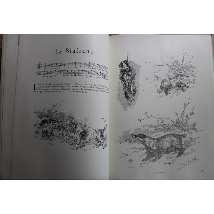 Livre La Chasse à Courre et à Tir de René Valette