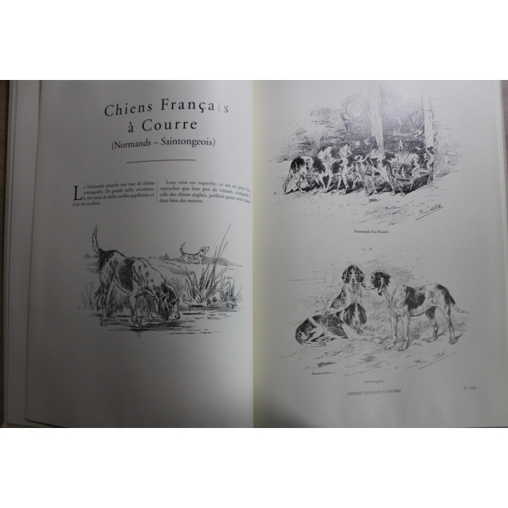 Livre La Chasse à Courre et à Tir de René Valette