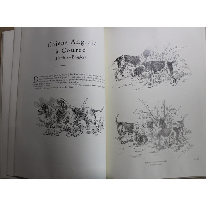 Livre La Chasse à Courre et à Tir de René Valette