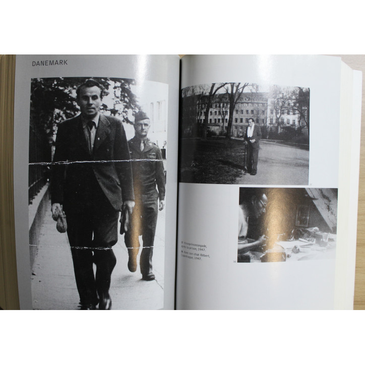 Livre Céline de Henri Godard