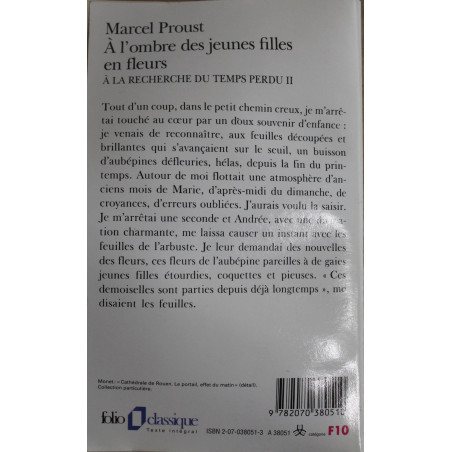 Roman A l'ombre des jeunes filles en fleurs de Proust