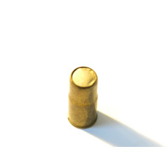 Cartouche 450 grenailles SFM collet allongé 