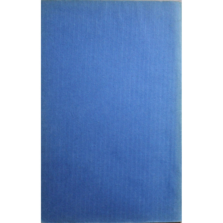 Livre Lille Guide Illustrés Michelin des champs de Bataille (1914-1918)