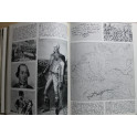 Livre L'Histoire en 1000 Images : L'épopée de Napoléon de Claude Manceron