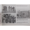 Livre German Infantry in Action