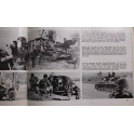 Livre Waffen SS in action 