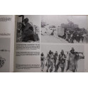 Livre Panzergrenadiers in Action