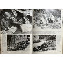 Livre Cobra La Bataille décisive de G. Bernage et G. Cadel