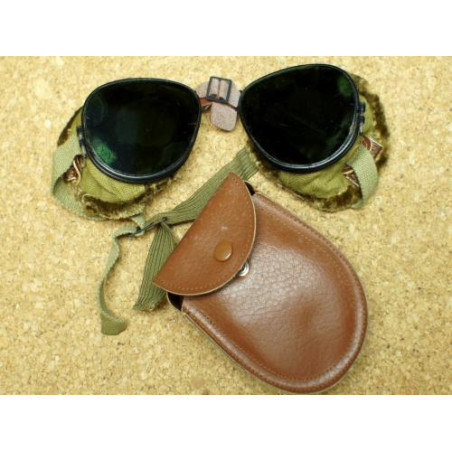 Goggles ski mountain US ww2