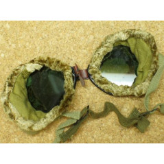 Goggles  ski Mountain US 39/45