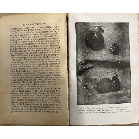 Livre La vie des insectes de J-H- Fabre