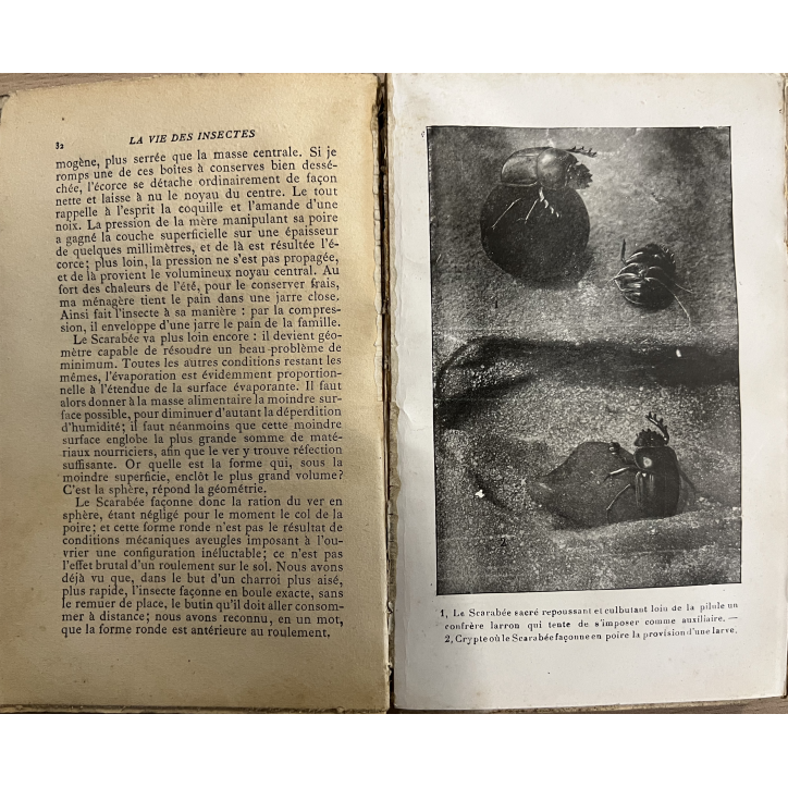 Livre La vie des insectes de J-H- Fabre