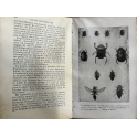 Livre La vie des insectes de J-H- Fabre