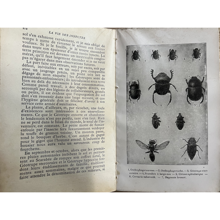 Livre La vie des insectes de J-H- Fabre