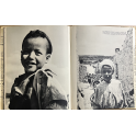 Livre Les dieux meurent en Algérie de Jean Larteguy