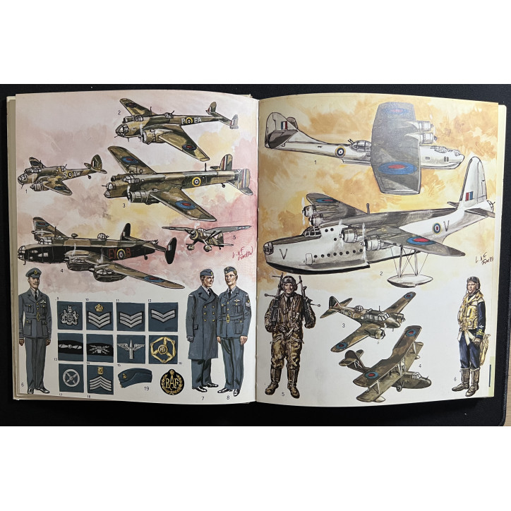 Livre L'uniforme et les armes des soldats de la Guerre 1939 - 1945 - Tome 2