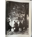Revue 39-45 No 105