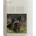 Livre La chasse du chevreuil de Gilbert Valet
