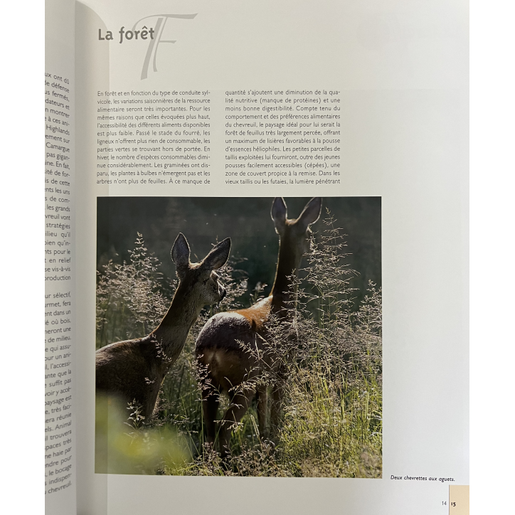 Livre La chasse du chevreuil de Gilbert Valet Livre La chasse du chevreuil de Gilbert Valet